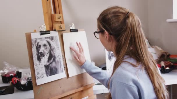 ペットの犬の肖像画を描く女性十代のアーティストは 木炭を染み出す スローモーションで撮影 — ストック動画