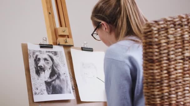 Une Adolescente Dessine Les Contours Portrait Chien Compagnie Fusain Partir — Video