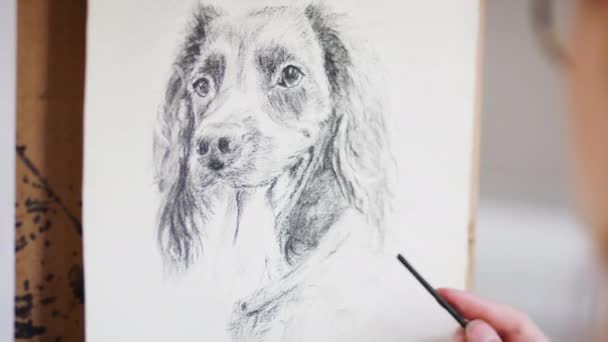 Gros Plan Artiste Travaillant Sur Portrait Chien Fusain Tourné Ralenti — Video