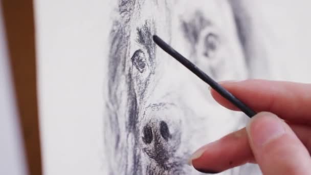 Close Van Kunstenaar Werken Aan Portret Van Hond Houtskool Shot — Stockvideo