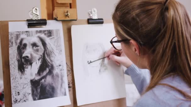 女性の十代のアーティストから 写真を使って描いているペットの犬の肖像画の輪郭に焦点を当てた肩の上に スローモーションで撮影 — ストック動画