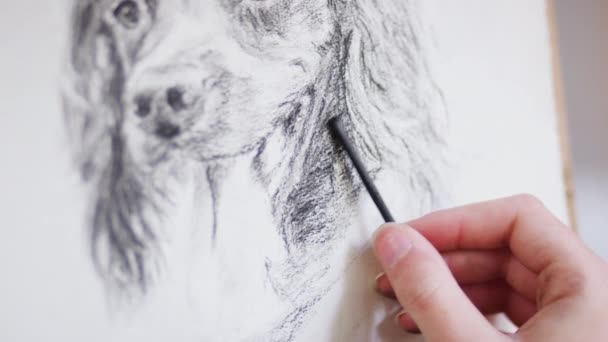 Gros Plan Artiste Travaillant Sur Portrait Chien Fusain Tourné Ralenti — Video