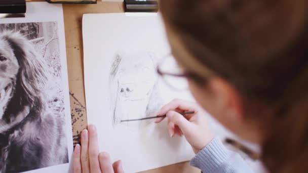 Mujer Artista Adolescente Dibuja Esquema Para Retrato Perro Compañía Carbón — Vídeos de Stock