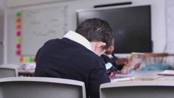 唐氏综合症男孩坐在小学课的书桌绘图的背面视图 — 图库视频影像