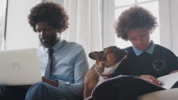 父亲和儿子坐在家里的一个坐的的S 他们的宠物狗坐在他们之间 低角度 — 图库视频影像