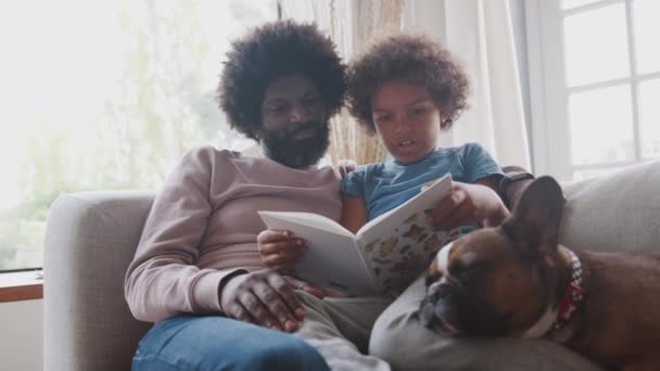 混合种族前青少年男孩和父亲坐在沙发上 他们睡觉的宠物狗 一起看书 选择性的焦点 — 图库视频影像