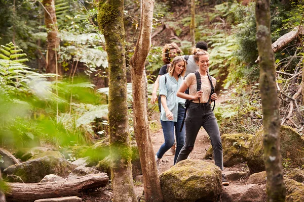 Quatro Amigos Milenares Caminhando Único Arquivo Uma Trilha Florestal Comprimento — Fotografia de Stock