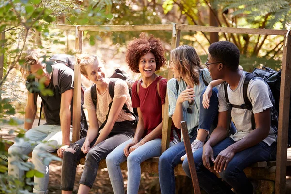 Cinq Amis Millénaire Assis Sur Pont Dans Une Forêt Discutant — Photo