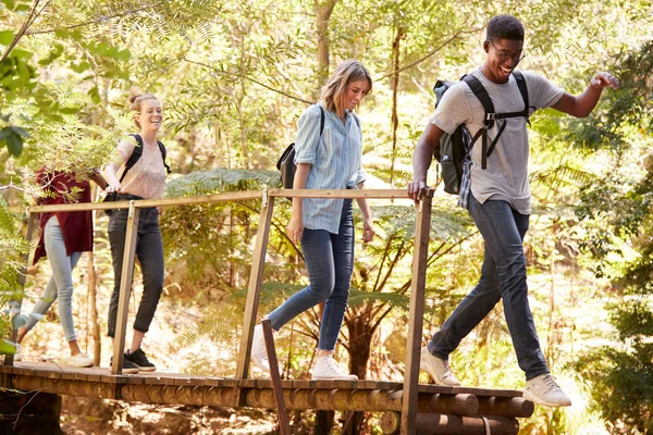 Junge Erwachsene Freunde Überqueren Eine Fußgängerbrücke Während Einer Wanderung Wald — Stockfoto