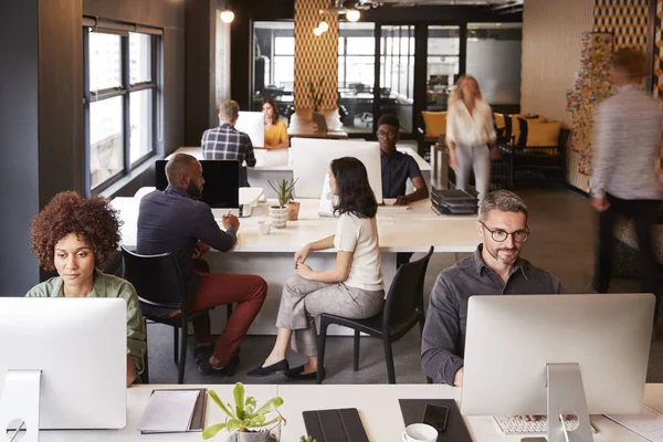 Elevated View Creative Business Colleagues Working Busy Office — Stock Photo, Image