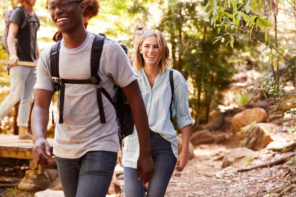 Millennial Grupo Amigos Felices Caminando Juntos Durante Una Caminata Bosque —  Fotos de Stock