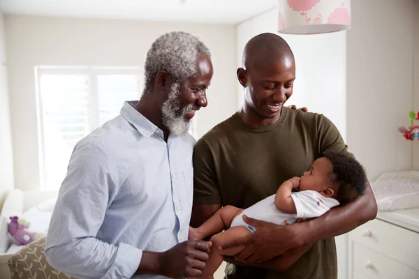 Stolt Farfar Med Adult Son Cuddling Baby Barnbarn Plantskola Hemma — Stockfoto