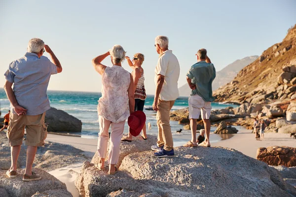 Vue Arrière Des Amis Aînés Debout Sur Des Rochers Vacances — Photo