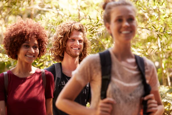 Drei Glückliche Millennial Freunde Mit Rucksäcken Auf Einer Wanderung Wald — Stockfoto
