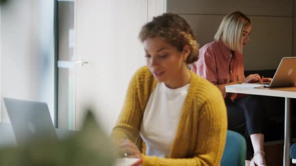 Lächelnde Junge Erwachsene Frau Laptop Einem Kreativen Büro Ihr Kollege — Stockvideo