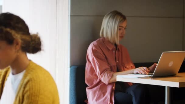 Dos Creativas Milenarias Que Trabajan Computadoras Sentadas Una Oficina Centran — Vídeo de stock