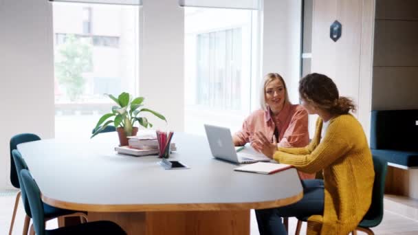 Due Giovani Donne Adulte Che Discutono Incontro Informale Ufficio Tenuto — Video Stock