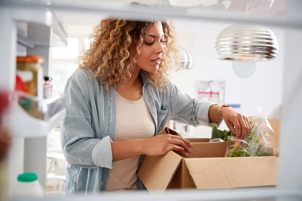 Vista Desde Interior Nevera Como Mujer Desempaqueta Línea Domicilio Entrega — Foto de Stock