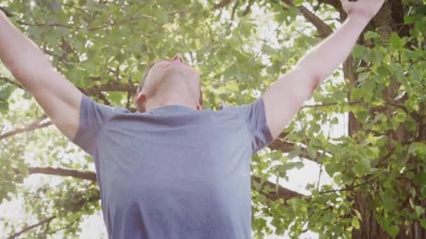 男は腕を伸ばし 後ろの木を通して太陽のフレアとして自然を祝う スローモーションで撮影 — ストック動画