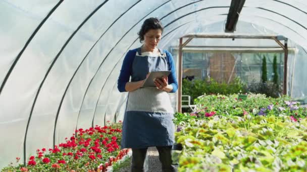 Mature Female Owner Garden Center Digital Tablet Greenhouse Checking Flower — Stock Video