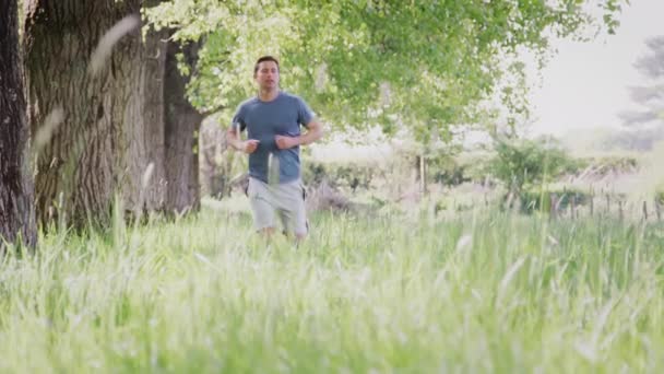 Cámara Sigue Hacia Arriba Medida Que Hombre Corre Por Campo — Vídeos de Stock