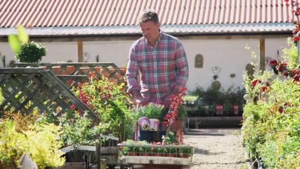 Uśmiechnięty Dojrzały Mężczyzna Kupujący Rośliny Ładujący Wózek Ogródku Zewnętrznym Nakręcony — Wideo stockowe