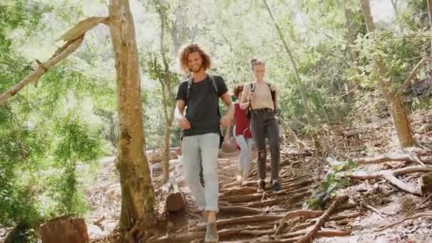 Grupo Jóvenes Amigos Senderismo Largo Del Camino Través Hermosa Campiña — Vídeos de Stock