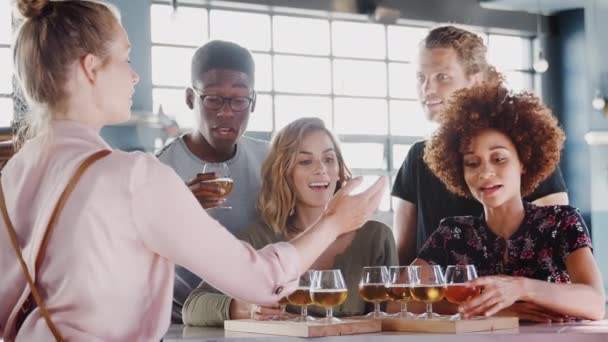 Kellnerin Bedient Freundesgruppe Die Sich Bar Zur Bierprobe Trifft Aufgenommen — Stockvideo