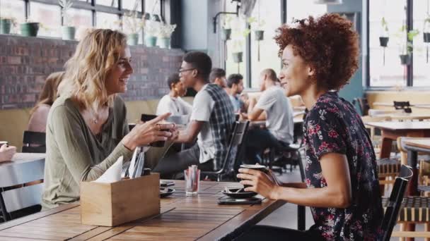 Dos Amigas Encontrándose Hablando Cafetería Filmadas Cámara Lenta — Vídeos de Stock