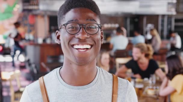 Retrato Del Camarero Con Delantal Ajetreado Restaurante Del Bar Sonriendo — Vídeos de Stock