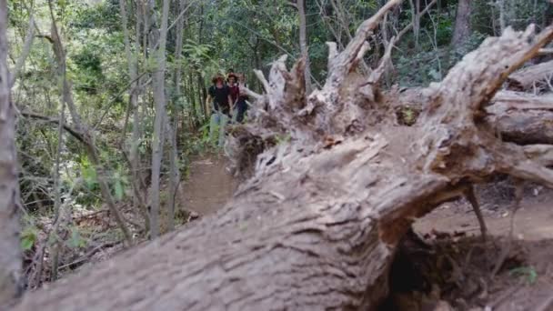 Grupo Jóvenes Amigos Senderismo Largo Del Camino Través Hermosa Campiña — Vídeo de stock