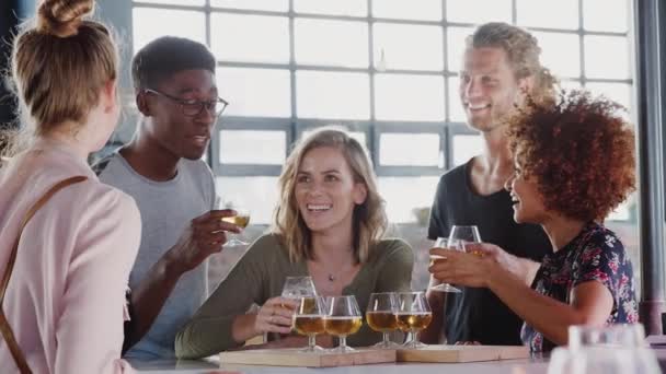 Garçonete Servindo Grupo Amigos Reunidos Bar Para Evento Degustação Cerveja — Vídeo de Stock