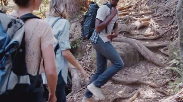 Rückansicht Junger Freunde Auf Pfad Durch Schöne Landschaft Aufgenommen Zeitlupe — Stockvideo
