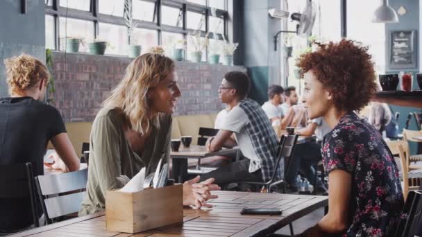 2人の女性の友人が会い ウエイトレスによって飲み物を提供されているカフェで話す スローモーションで撮影 — ストック動画