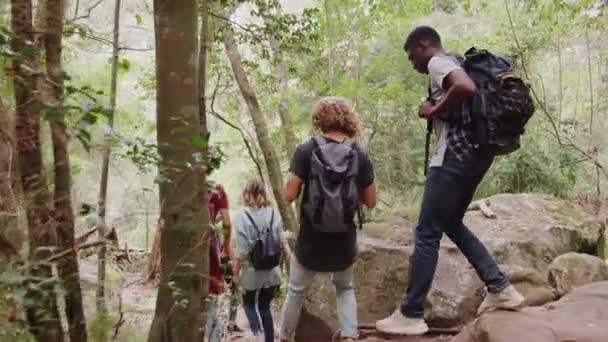 Rückansicht Junger Freunde Auf Pfad Durch Schöne Landschaft Aufgenommen Zeitlupe — Stockvideo