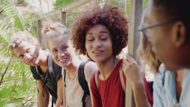 Bir Grup Genç Arkadaş Ahşap Köprüde Dinlenerek Güzel Kırlarda Yürüyüş — Stok video