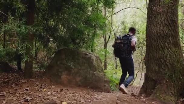 美しい田園地帯を通る道に沿って若い友人のハイキングの背面ビュー スローモーションで撮影 — ストック動画