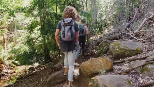 Visão Traseira Jovens Amigos Caminhando Longo Caminho Através Belas Paisagens — Vídeo de Stock