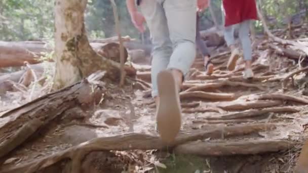 Achteraanzicht Van Jonge Vrienden Wandelen Langs Pad Door Prachtig Landschap — Stockvideo