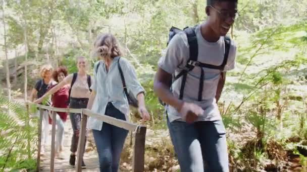 Group Young Friends Hiking Beautiful Countryside Crossing Wooden Bridge Shot — Stock Video