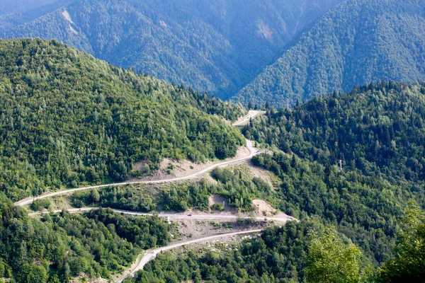 Piękny Zielony Krajobraz Górski Porośnięty Lasem Rejonie Svaneti Gruzji Europie — Zdjęcie stockowe