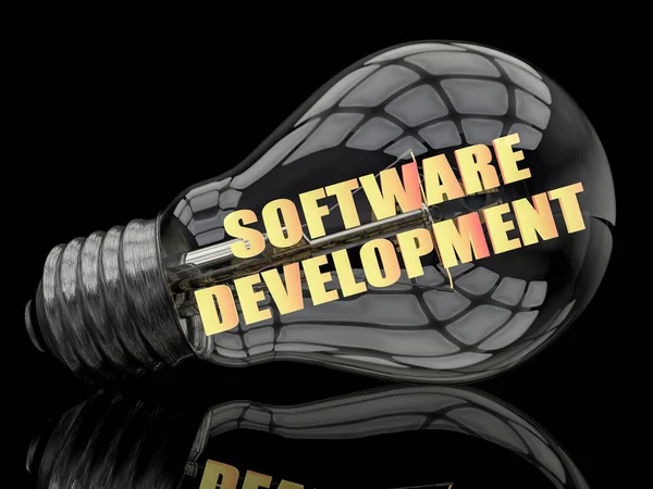 Développement de logiciels — Photo
