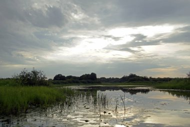       Akşam günbatımı Nehri Pripyat. bulutlar. Temmuz. Yaz. Beyaz Rusya manzara                         