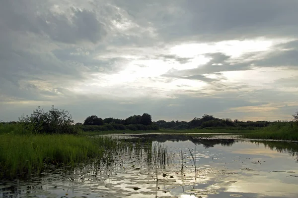       Akşam günbatımı Nehri Pripyat. bulutlar. Temmuz. Yaz. Beyaz Rusya manzara                         
