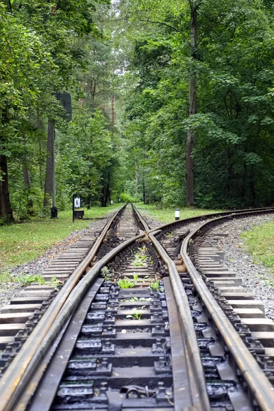 森の鉄道枕木とレール — ストック写真