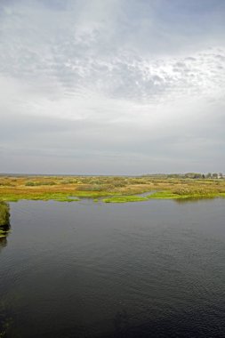       Sonbahar manzara. Taşkın yatağının ve nehir Berezina. Ekim ayında güneşli bir gün. Nehir bankalar çalılar ile kaplı                         