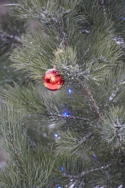 新的一年 松枝上的明亮的球玩具 雪和花环 — 图库照片