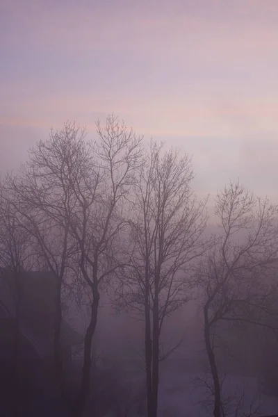 Туманное Утро Краски Зимнего Февраля — стоковое фото