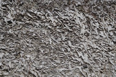 Sahil. Sahil kenarında kurutulmuş deniz yosunu doku. Yatay atış. Fantezi ve doğa grafikleri. Küçük ayrıntılar ve arka plan.