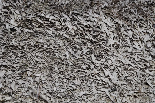 Küste Textur Aus Getrockneten Algen Rande Des Strandes Horizontalschuss Fantasie — Stockfoto